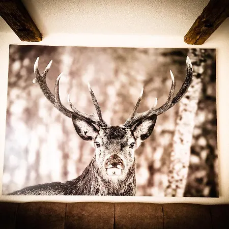 Fewo's Und Apartment's Schoeneck