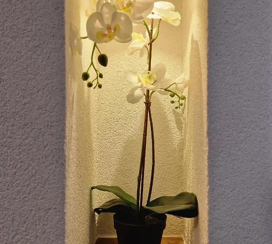 Fewo's Und Apartment's Schöneck