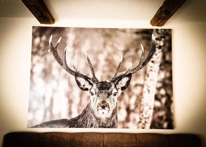 Fewo's Und Apartment's Schöneck